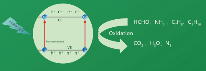 15852323433148432jZK.png image.png